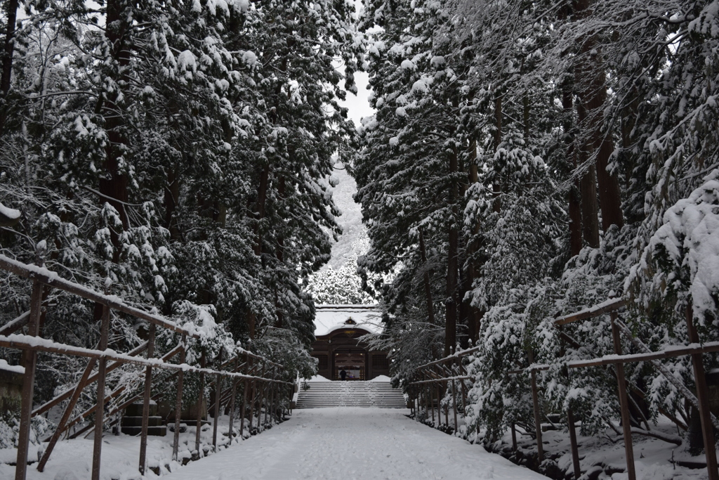 弥彦神社