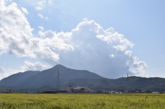 弥彦と雲