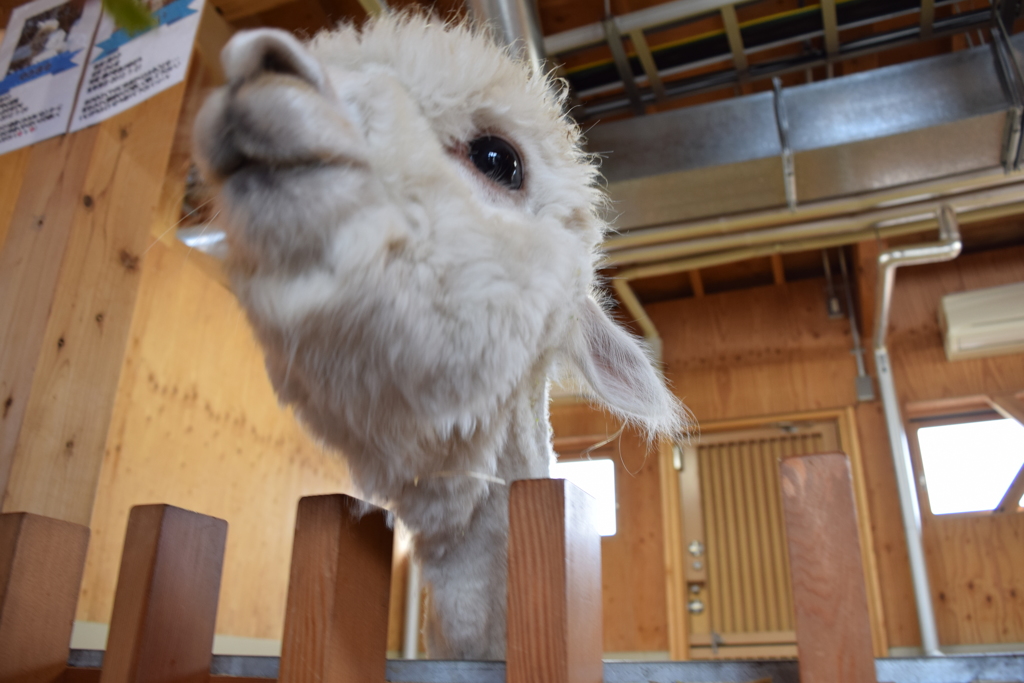 どーん。。