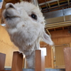 どーん。。