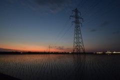 新潟市　水田の夕暮れ