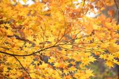 村松公園