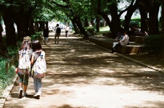 初夏の散歩道