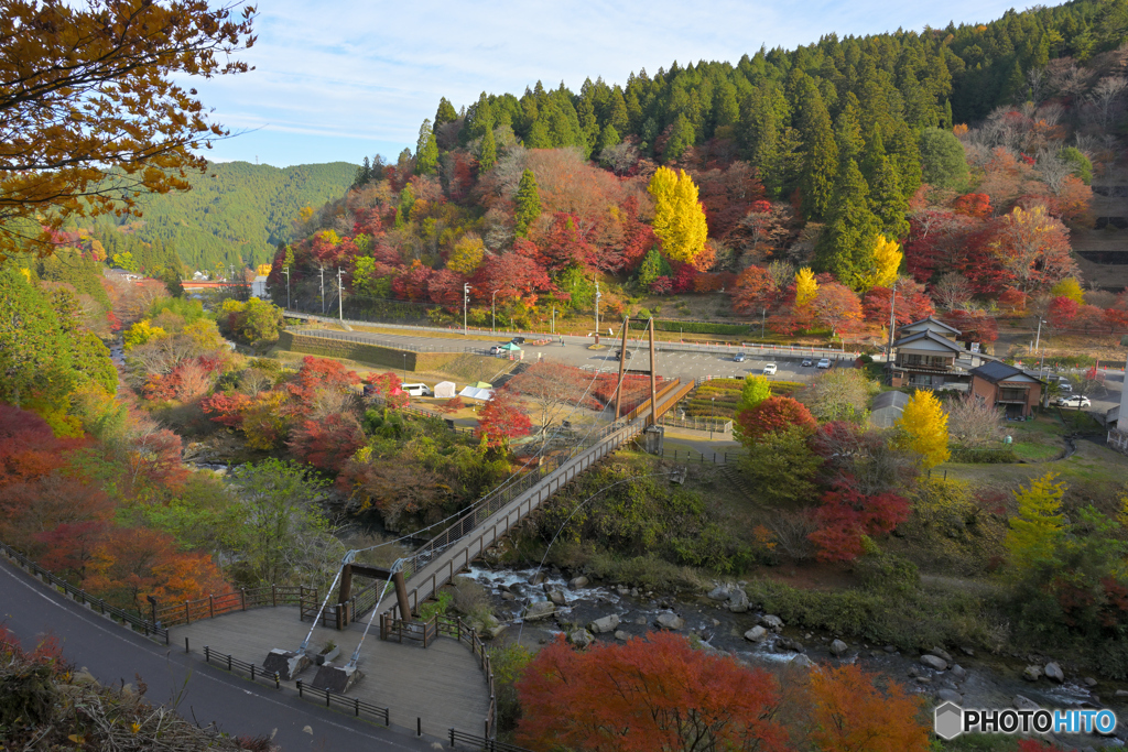 大井平公園　紅葉狩り