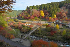 大井平公園　紅葉狩り