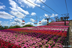 茶臼山高原