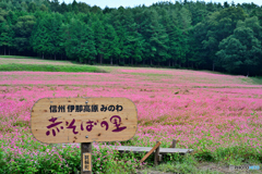 赤そばの里