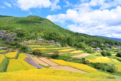 坂折棚田 （恵那市）