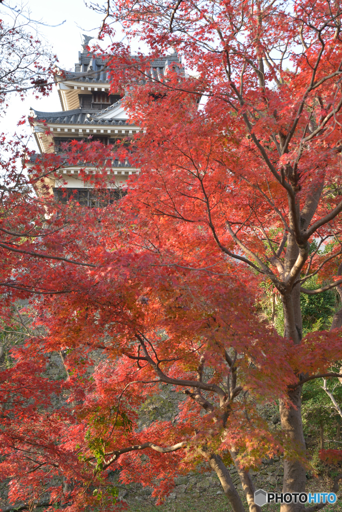歴史公園の紅葉