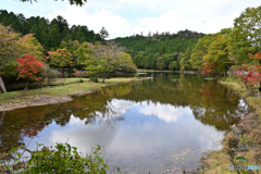 段戸湖　きららの森