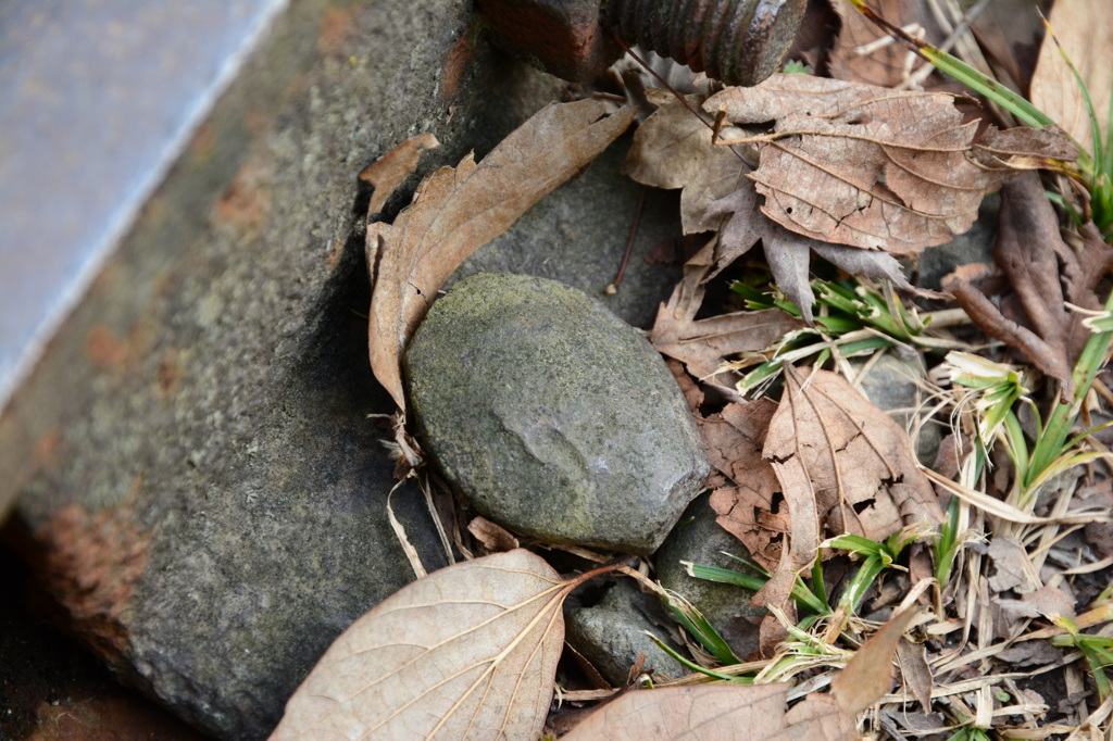 インクラインの亀釘