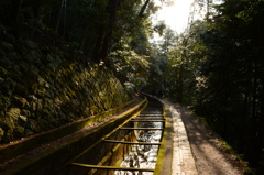 京都の水路閣３