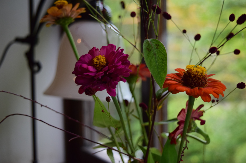 湯布院カフェ　その２