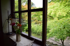 湯布院カフェ　その１