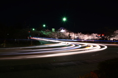 夜桜見に行ったついでの光路