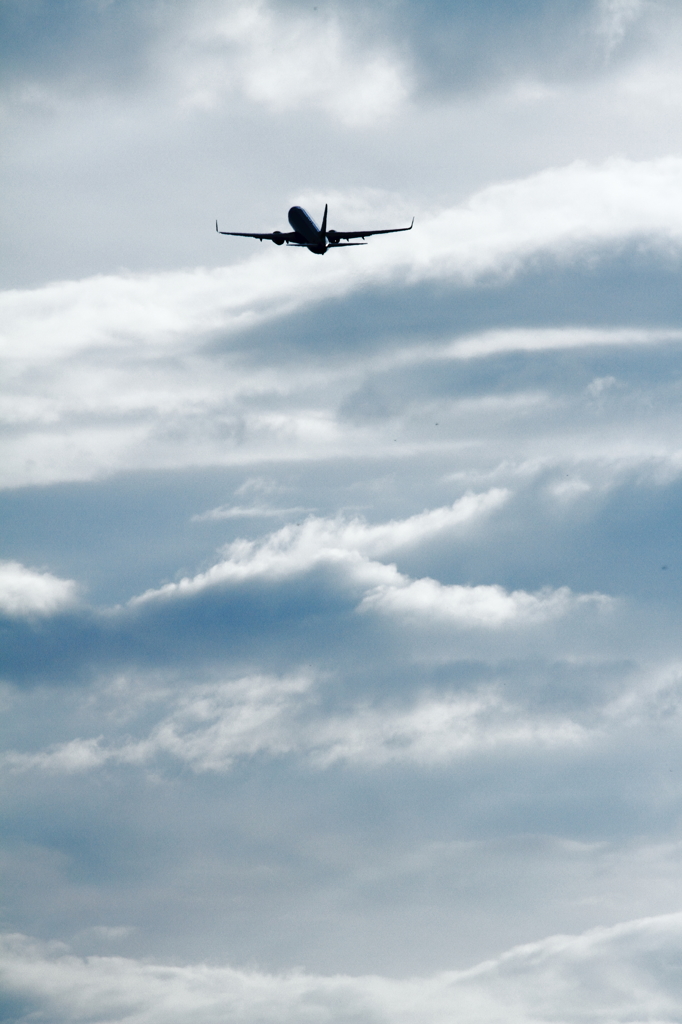 空高く