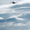 空高く