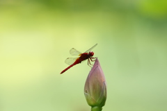 ちょっと一休み