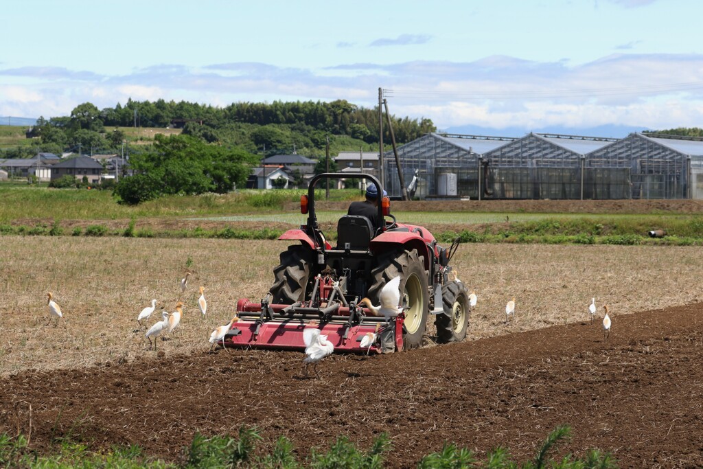 田植え前