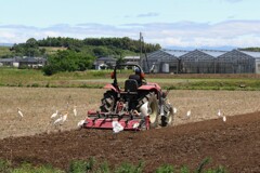 田植え前