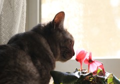 いい香りだよ～