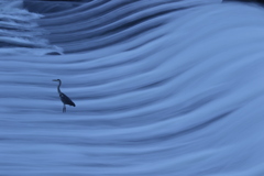 流れのなかで