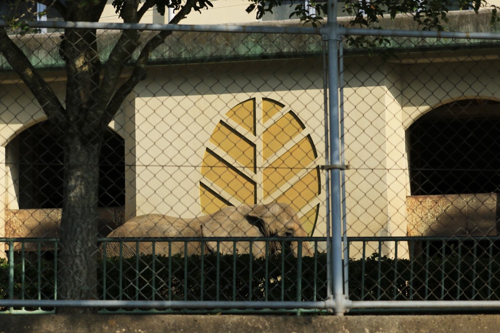 熊本市動植物園