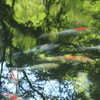 IMG_5024いつも共に
