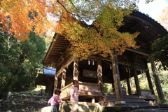 小町堂の紅葉
