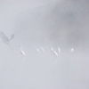 霧の朝