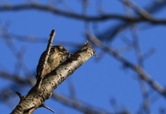 今年も出会えたね