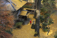 康平寺の秋