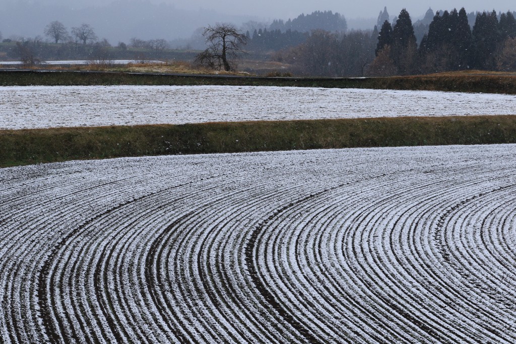 雪ライン