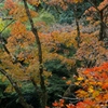 IMG_9104彩り