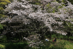 ひとりじめ
