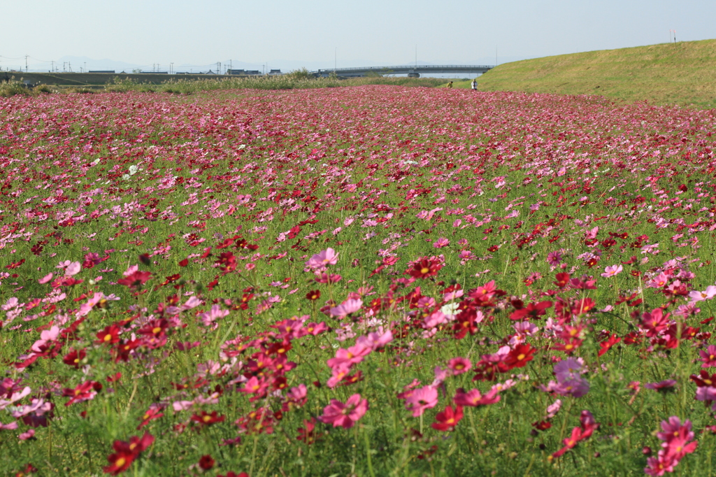 IMG_4180どこまでも