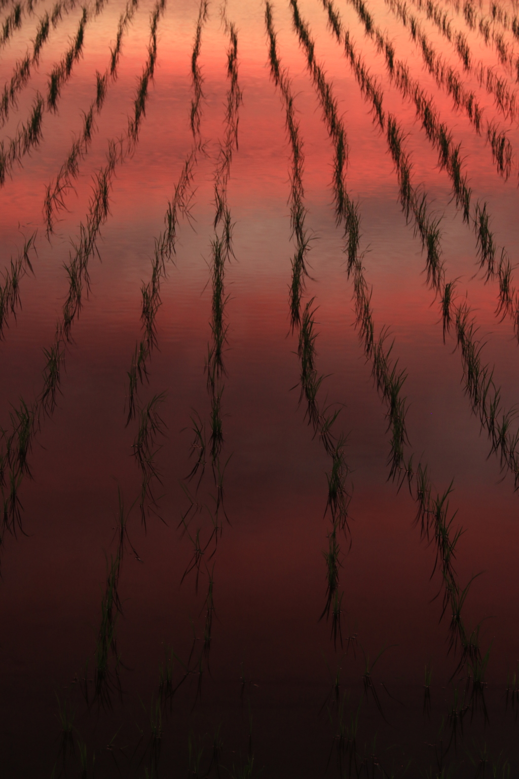 幸せの夕景
