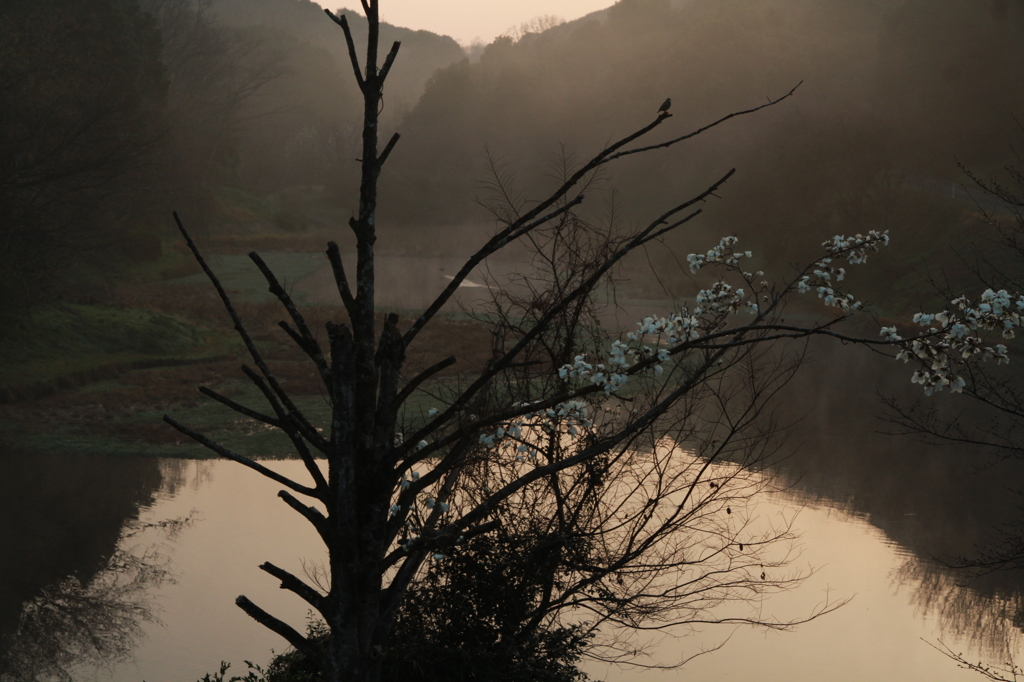 がんばったね！