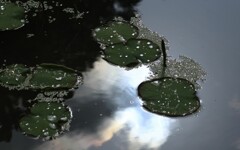 雨上がり