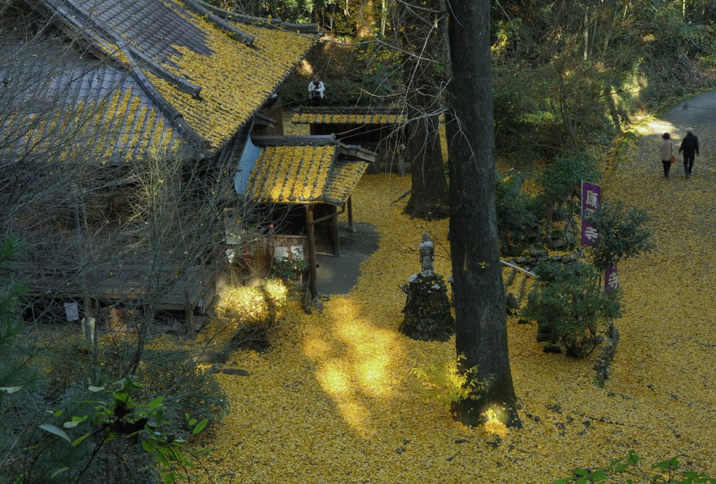 康平寺の秋