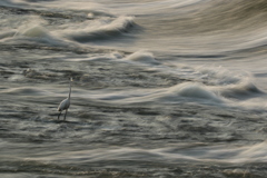 流れ
