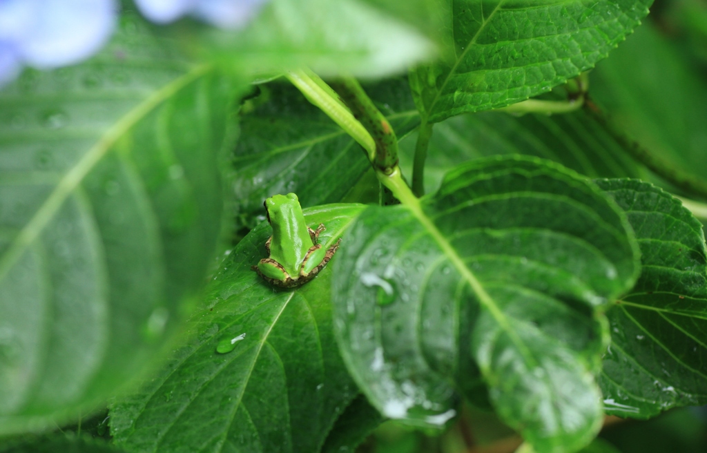 こっち向いて！