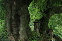 神宿る