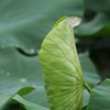 お休みさせてね！