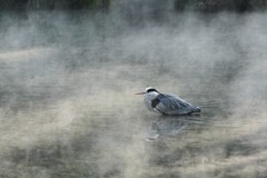 耐える