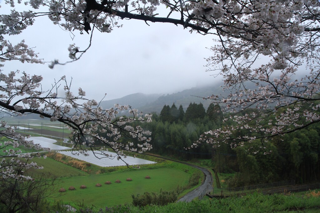 I春風景