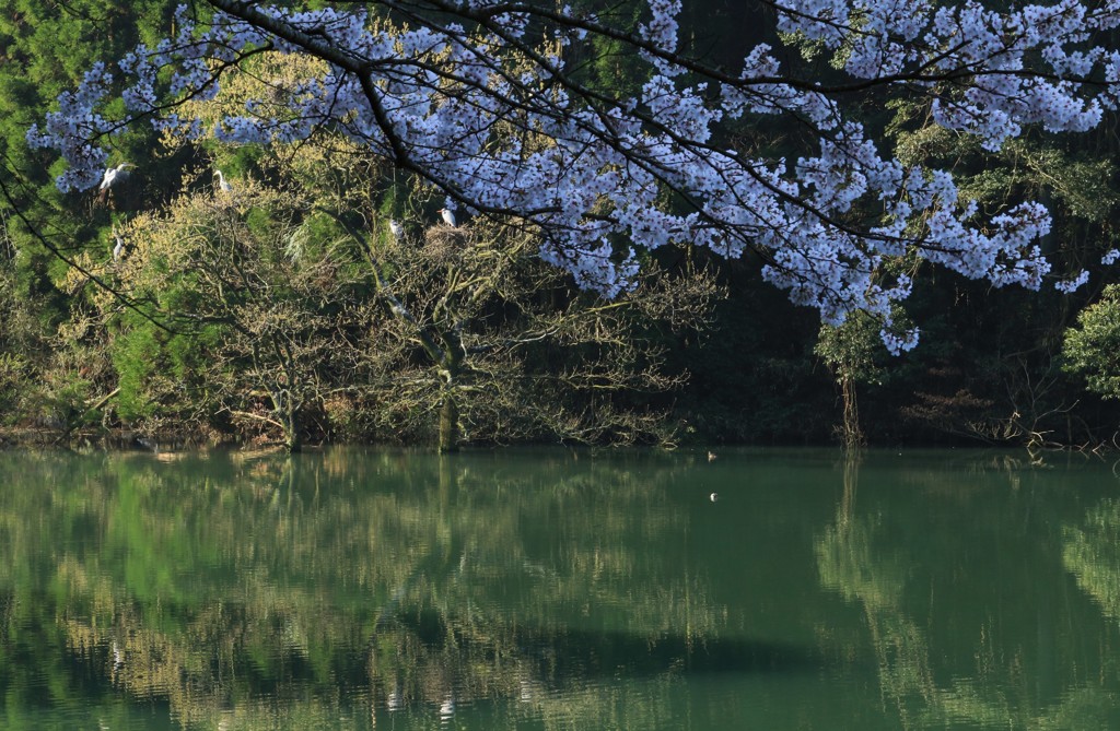 静かな時