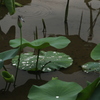 雨あがり