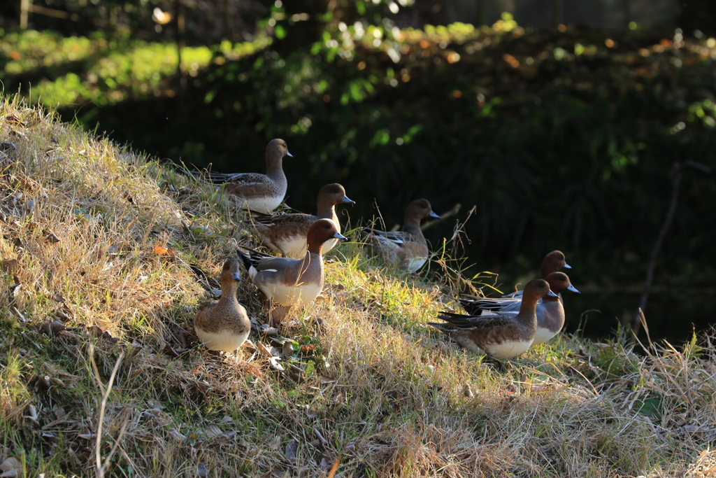 視線の向こうは