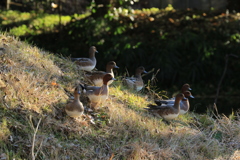 視線の向こうは